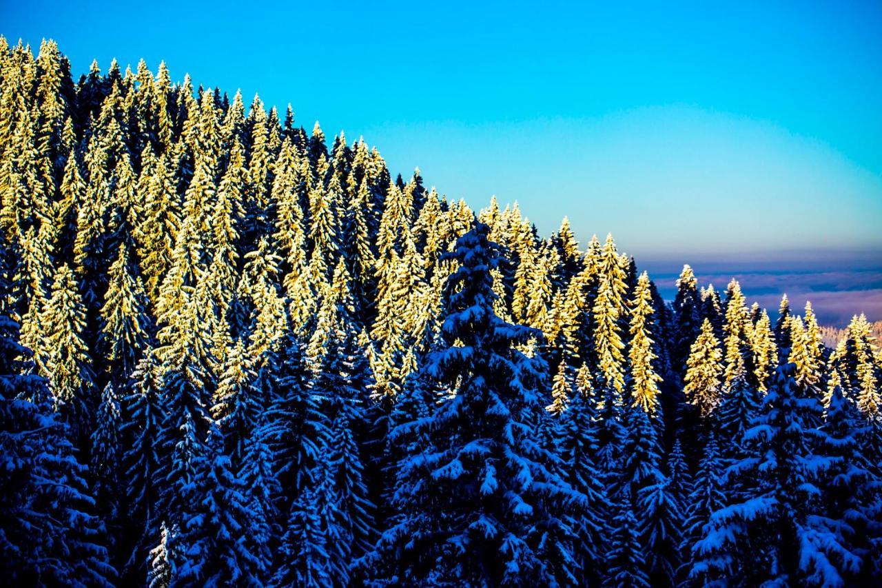 Sunny Hills Ski&Wellness ปอมโปโรโว ภายนอก รูปภาพ