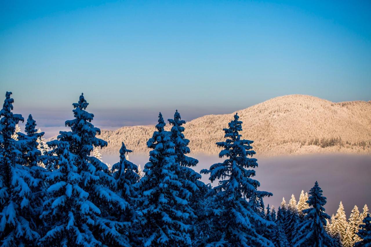 Sunny Hills Ski&Wellness ปอมโปโรโว ภายนอก รูปภาพ