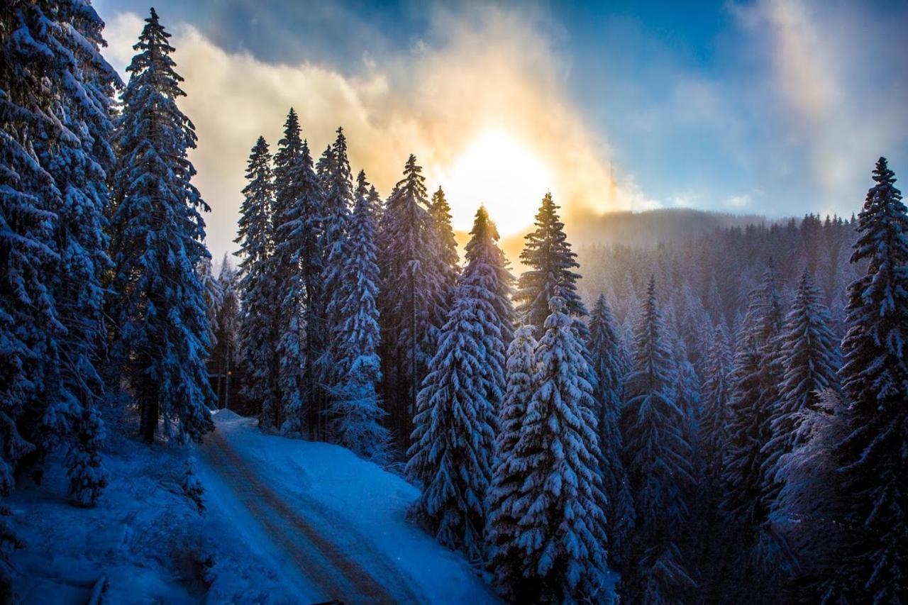 Sunny Hills Ski&Wellness ปอมโปโรโว ภายนอก รูปภาพ